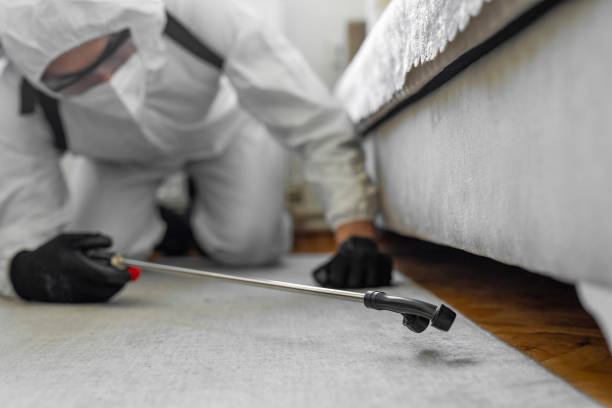 Professional Termite Control technician working in Milaca, MN
