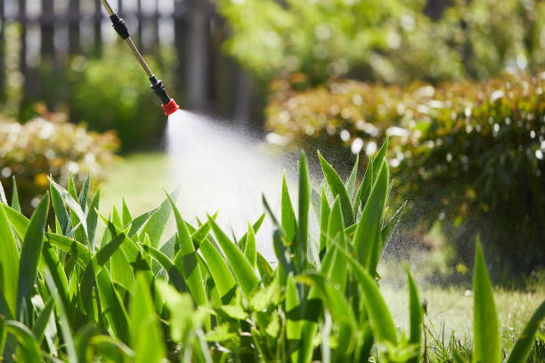 24/7 Emergency Termite Control experts in Milaca, MN
