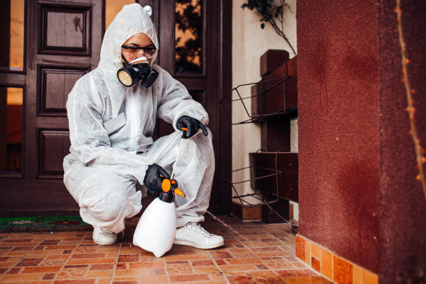 Reliable Termite Control contractor in Milaca, MN by Nex Pest Control