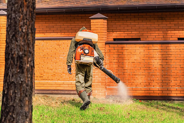 Top rated local Termite Control specialists in Milaca, MN